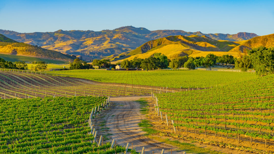 How to Spend a Weekend in California's Santa Ynez Valley