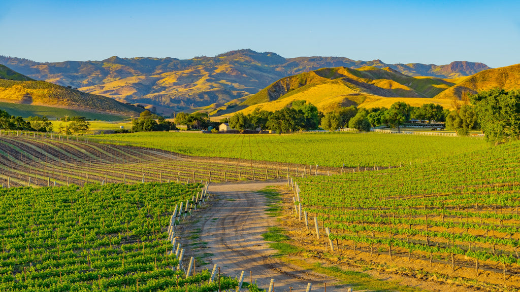 How to Spend a Weekend in California's Santa Ynez Valley